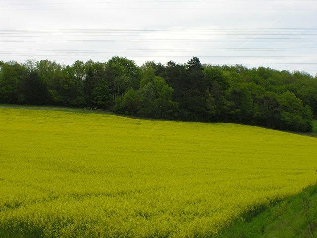 Auberge De Bourgogne Tonnerre Exteriör bild